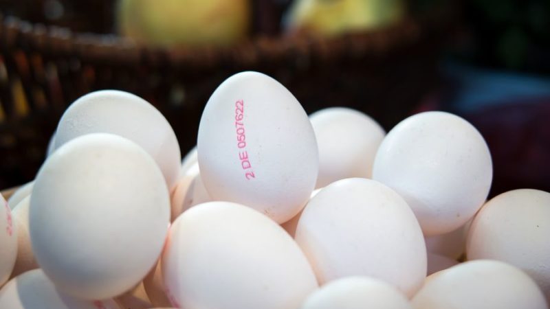 Schaden Eier der Gesundheit?